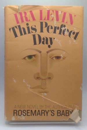 This Perfect Day image number 0