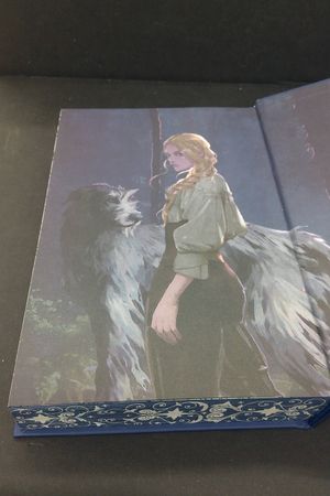Until the Stars Fall image number 2
