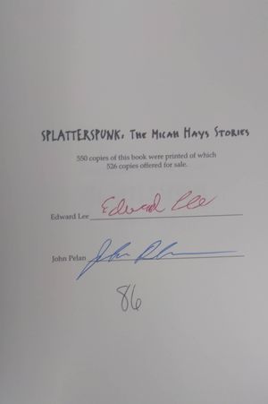 Splatterspunk: The Micah Hays Stories image number 2