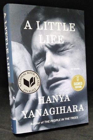 A Little Life image number 0