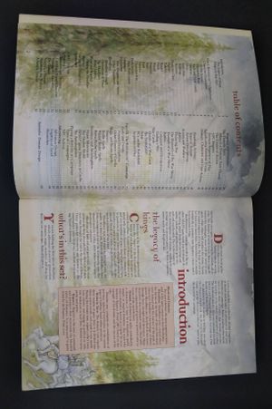 Dungeons and Dragons Birthright Campaign Setting image number 2