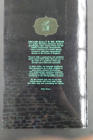 Arcane Sally & Mr. Steam Vol. 1 image number 1