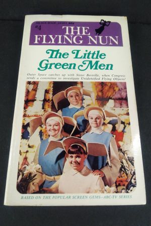 The Flying Nun image number 0