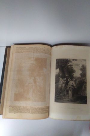 The Cottage Bible and Family Expositor (2 Volume Set)  image number 2
