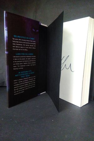 Catwoman: Soulstealer image number 2