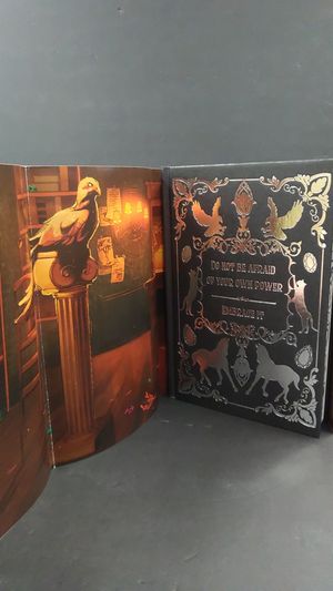 This Dark Descent Duology image number 2