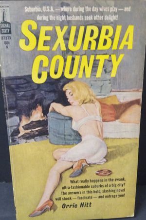 Sexurbia County (B737X) image number 0