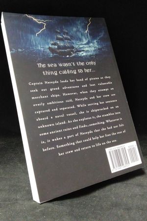 Storm Raven image number 2