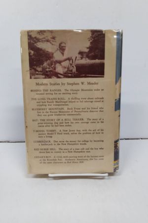 Bulldozer image number 2