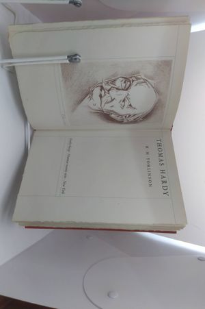 Thomas Hardy image number 1