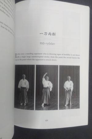 Iaido image number 2