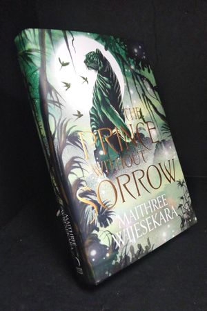 The Prince Without Sorrow image number 0