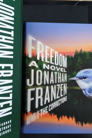 Freedom: A Novel image number 1