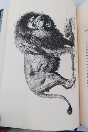 Recollections of William Finaughty: Elephant Hunter 1864-1875 image number 2