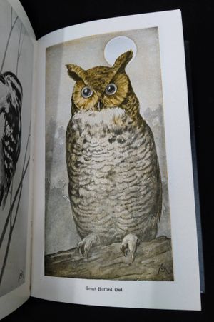 Field Book of Wild Birds and Their Music image number 2
