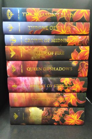 Throne of Glass Series image number 0