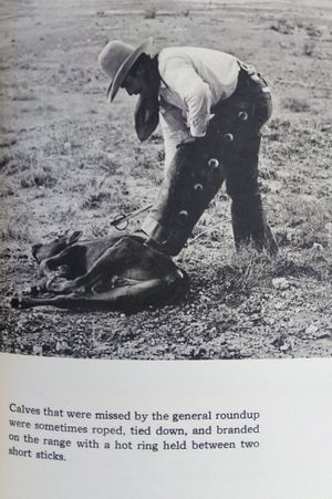 Life on The Texas Range  image number 2