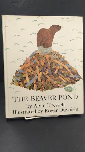 The Beaver Pond image number 0