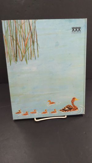 The Beaver Pond image number 1