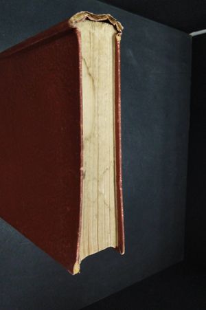 The Brown Fairy Book image number 1