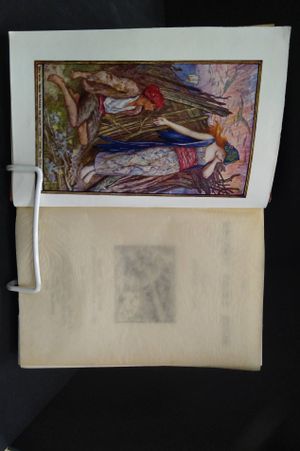 The Brown Fairy Book image number 2