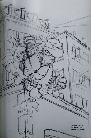 Teenage Mutant Ninja Turtles image number 2