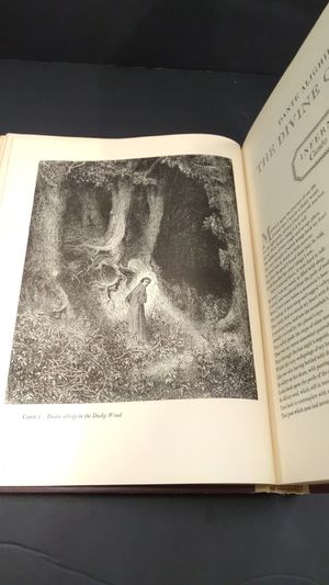 The Divine Comedy  image number 0