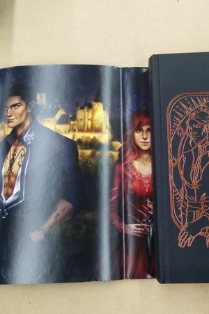 These Hollow Vows: TikTok made me buy it! Faeries, romance and betrayal image number 2