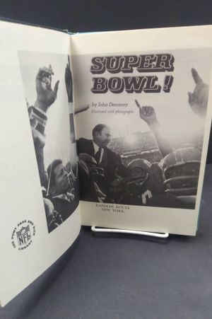 Super Bowl!  image number 2