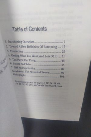 The Bottoming Book or how to get Terrible THings Done to you By Wonderful People image number 2