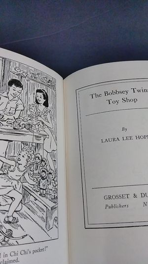 The Bobbsey Twins` Toy Shop image number 1