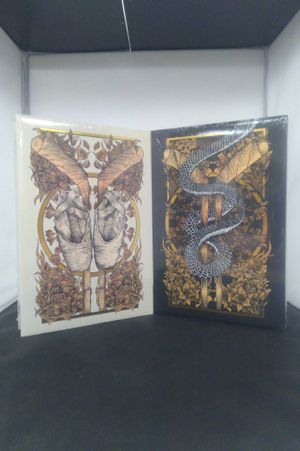 Devious Obsession/Brutal Obsession image number 2