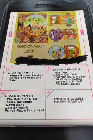 Lizard image number 1