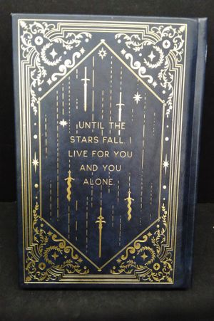 Until the Stars Fall image number 2