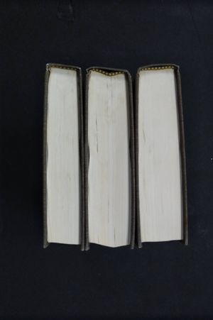26 Translations of the Holy Bible (3 Volume Set) image number 2