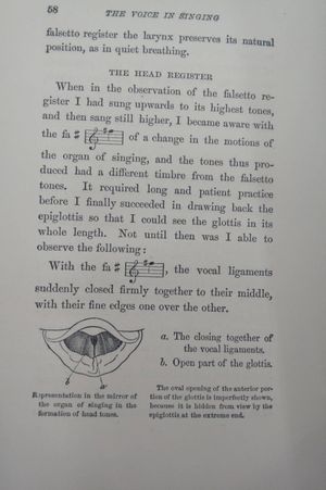The Voice in Singing image number 2