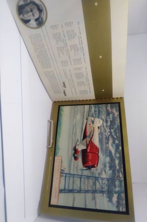 The Thompson Trophy Race 1930-1937 image number 1