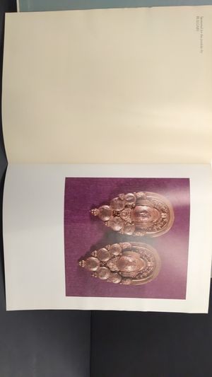 Treasures of the Dallas Museum of Fine Art image number 0
