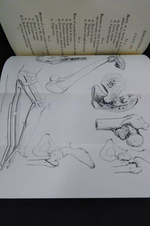 Surgical Essays Part I and II image number 1