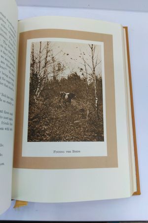 Woodcock Shooting image number 2