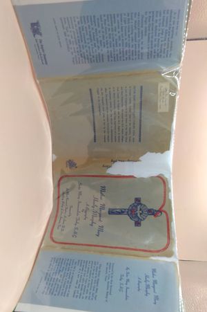 Mother Margaret Mary Healy-Murphy;: A biography image number 0