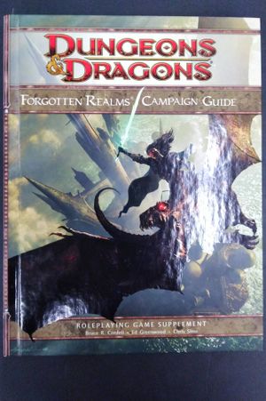 Forgotten Realms Campaign Guide image number 0