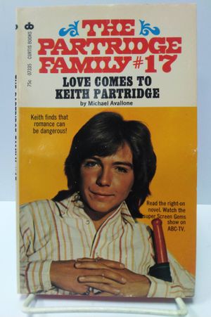 The Partridge Family #17: Love Comes to Keith Partridge image number 0