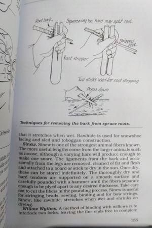 Bushcraft: Outdoor Skills and Wilderness Survival image number 1