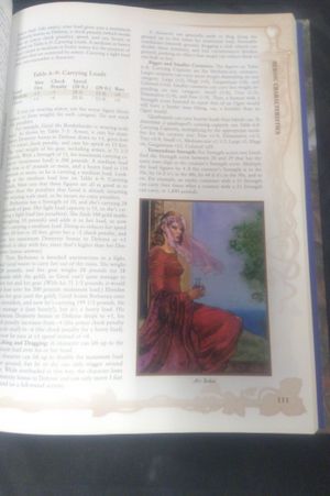 The Wheel of Time Roleplaying Game image number 1