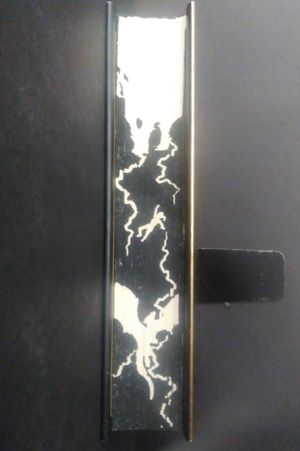 Fourth Wing image number 1