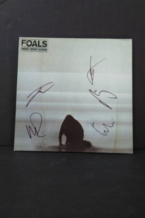 What Went Down (Signed) image number 0