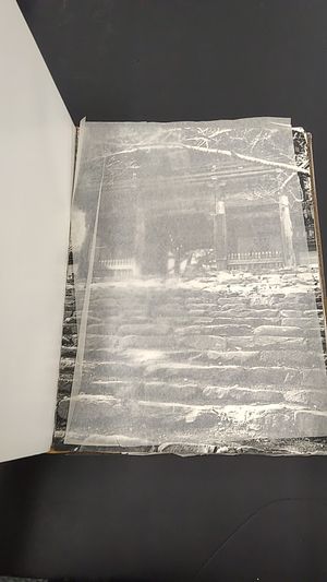 Japanese Temples: Sculpture, Paintings, Gardens, and Architecture image number 0