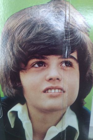 Donny Osmond Superstar image number 1