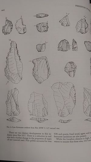 Contributions to the Prehistory of Nubia image number 2